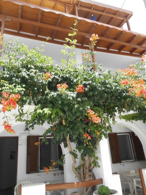 Summerfell Agia Anna  Ngoại thất bức ảnh